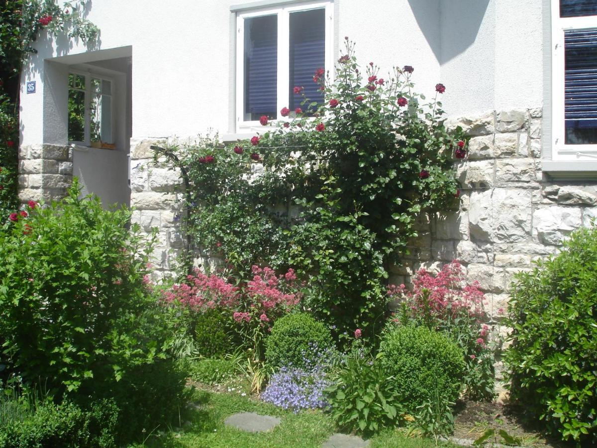 Villa Am Rosenfelspark Lorrach Exterior photo